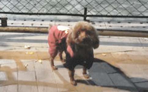 ���ɰ���С��������500��8ƪ