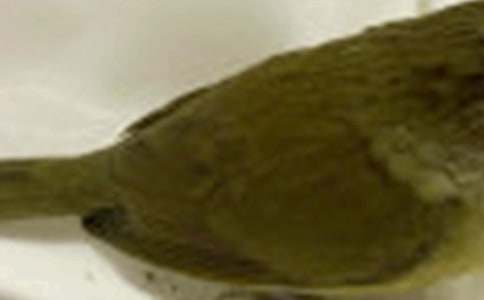 С������500��15ƪ(�ϼ�)