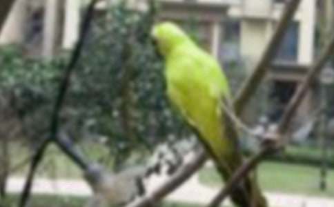 С������500��[����]