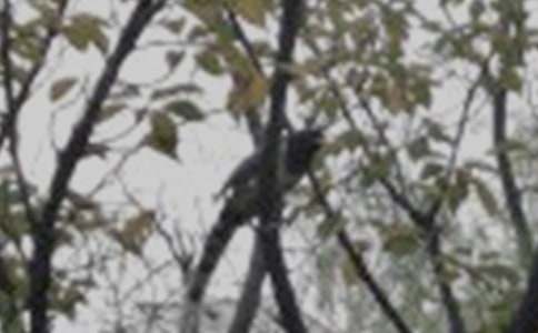 С������500��(�ϼ�)