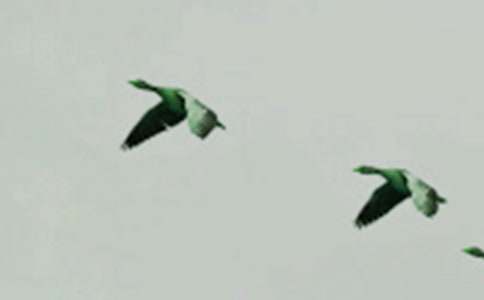 ���С������300��