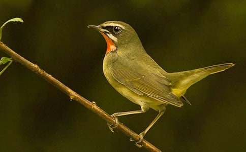 С������500�֣�����15ƪ��