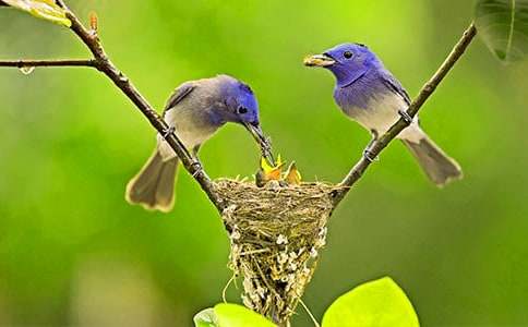 ����ѡ��С�������600��