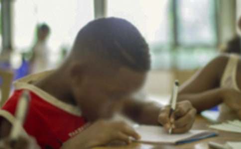 【精选】小学生的日记模板合集八篇