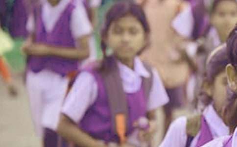 (�ر�)Сѧ�������ҽ���15ƪ