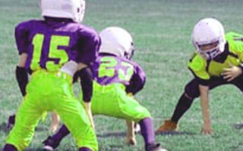 苍蝇_小学生五年级作文