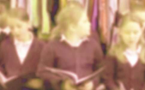 Сѧ����ϲ���ľ�������