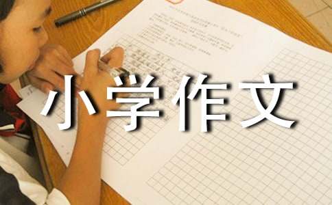 我最喜爱的小动物小学作文