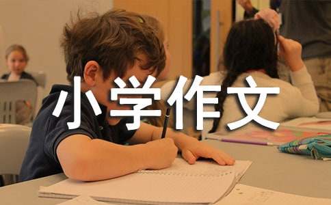 动物小学作文合集(9篇)