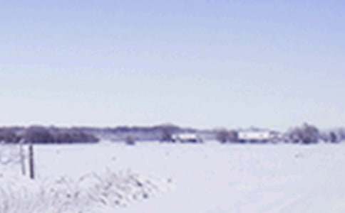 ������Сѩ�����Ľ̰�