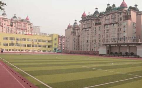 校园暴力观后感(精选14篇)