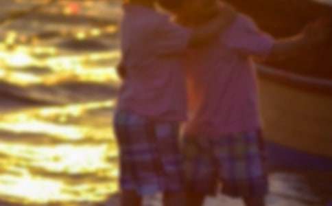 �����ֵ�������