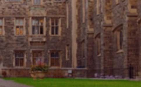 ��˳ѧԺ��ë��Э��~�����ܽ�