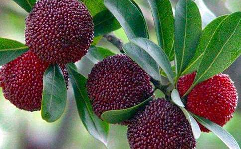 ��÷������400��(����3ƪ)