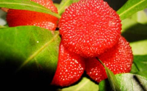 ���ȣ��Ұ��������÷����