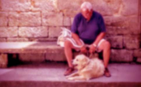 爷爷作文600字3篇