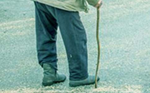 陪伴爷爷作文600字(通用20篇)