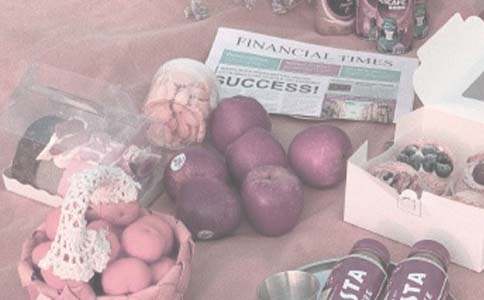 С����ȥҰ������