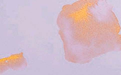 �����ڻ�ܽ᡾��15ƪ��