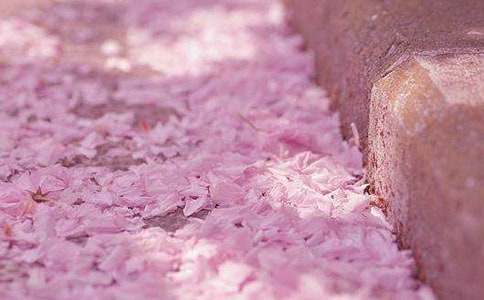 ����Ʒ��ӣ��������600��4ƪ