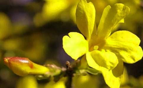 �Ұ�ӭ��������(����9ƪ)