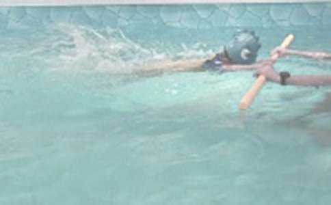 学游泳_小学生六年级作文