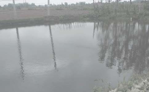 �����а���ͬ15ƪ(��)