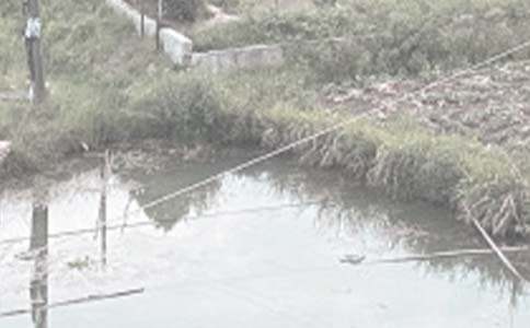 鱼塘承包的协议书(通用6篇)