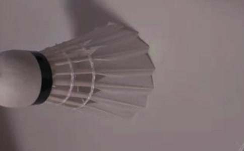 ��ë�������������