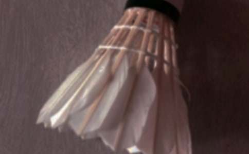 ����ë����ռǷ��ĺϼ���ƪ