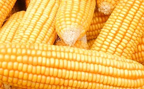 ����������600��