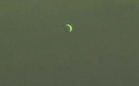 ������̰�