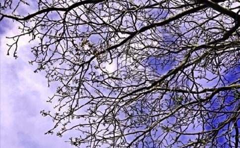 2021年精选美好的早安问候语语录23句