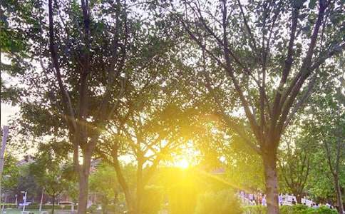 【必备】2021年美好的早安问候语语录大集合51句