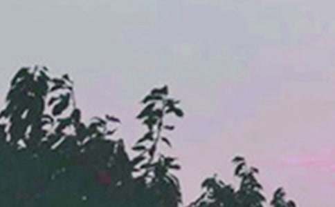 2021年有关每日一句早安问候语语录锦集41句