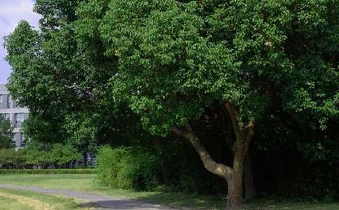 唯美早安感言汇总(通用170句)