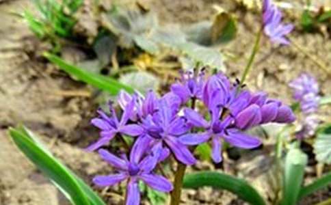 【热门】2022年治愈系早安问候语语录集合39句