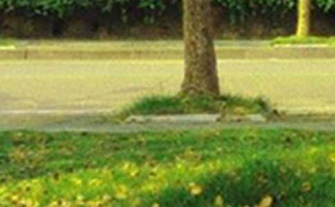 精选每日一签早安问候语语录集合60句