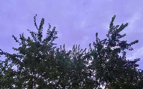 【实用】2021年温暖的早安问候语语录摘录58句