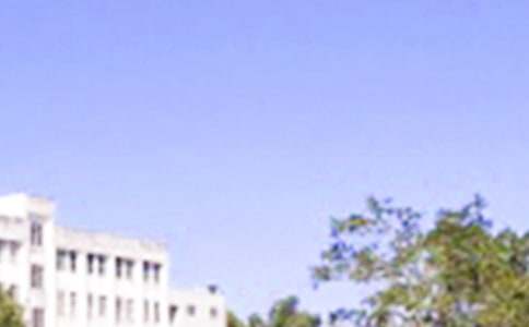 2020年简单的优美的早安问候语语录合集33条