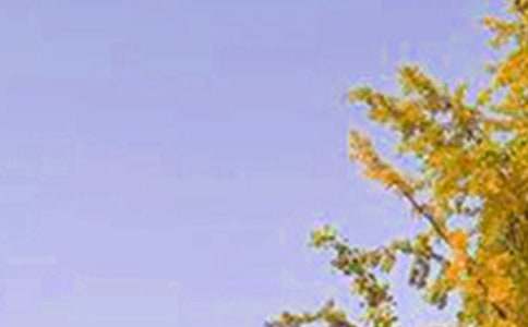 【热门】每日一签早安问候语语录28句