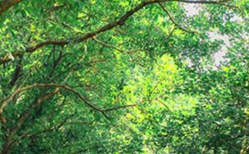 ���ر������õ��簲΢��ף����48��