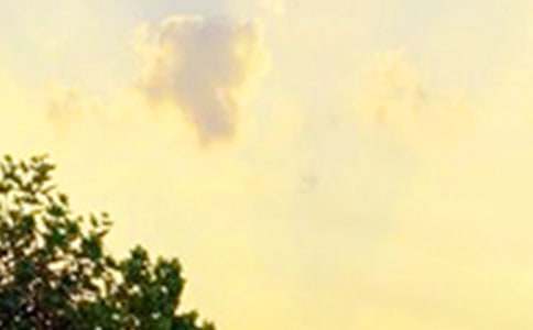 �������õ��簲QQף����29��