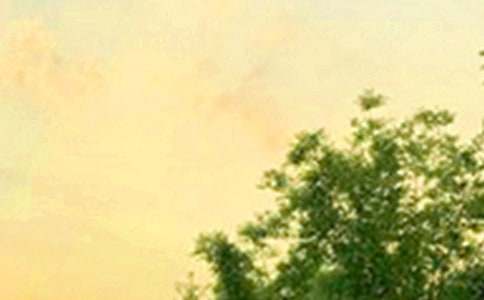 【精华】2020年温暖的早安问候语语录27句