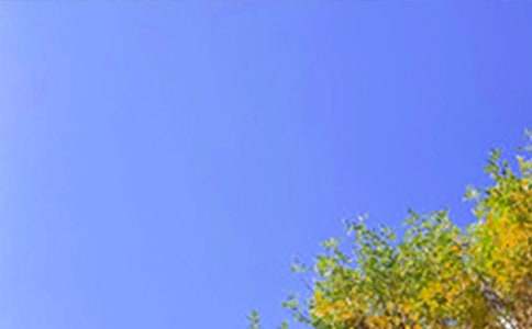 2022年常用每日一签早安问候语语录大集合53条