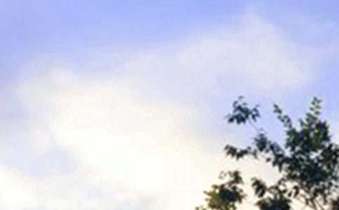 【推荐】每日一签早安问候语48句