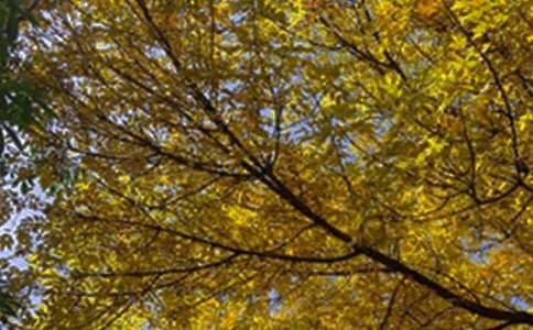 2022年有关新版早安问候语语录汇编41句