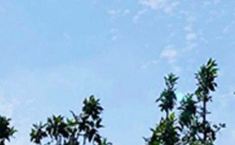 【热门】每日一句早安问候语语录40句