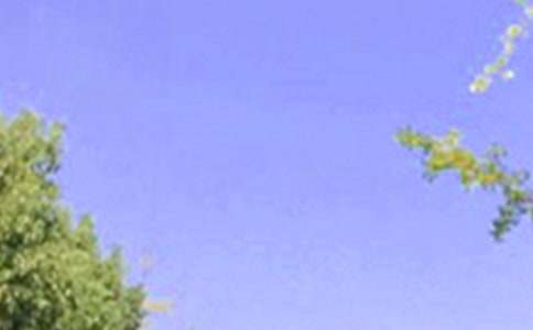 ��̵��簲�ʺ���15ƪ