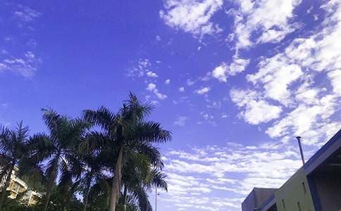 精选新版早安问候语语录汇总56条